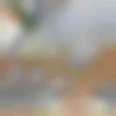 Rebanador de verduras multifuncional | SLICEIEST (4 cuchillas GRATIS)