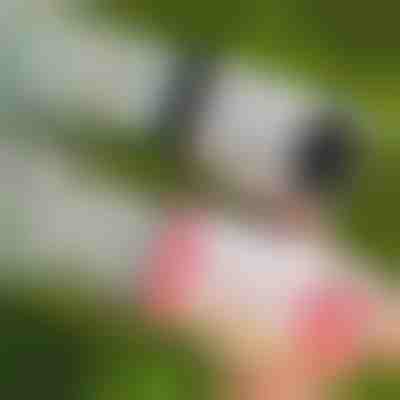 Pistola de burbujas LED de 69 orificios | BUBBLEPUFF