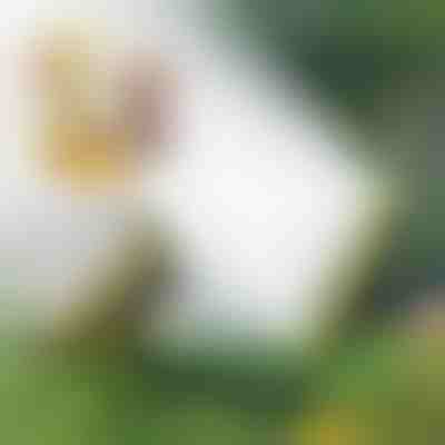 Aspersor multicabezal | SPRAYMASTER