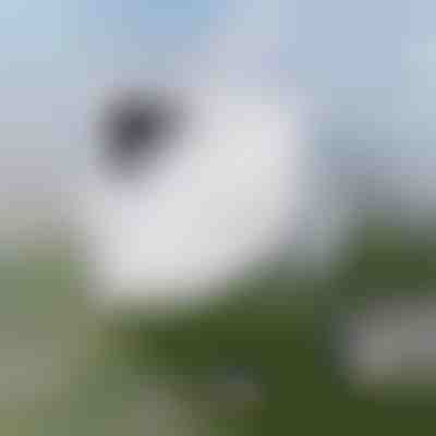 Limpieza de ventanas sin esfuerzo | WINDOWSWIPE