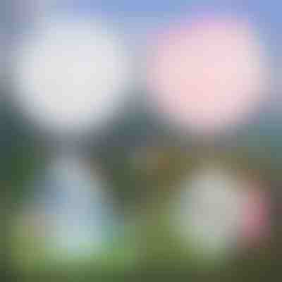 Burbuja Inflable Multifuncional | SLIMEBUB